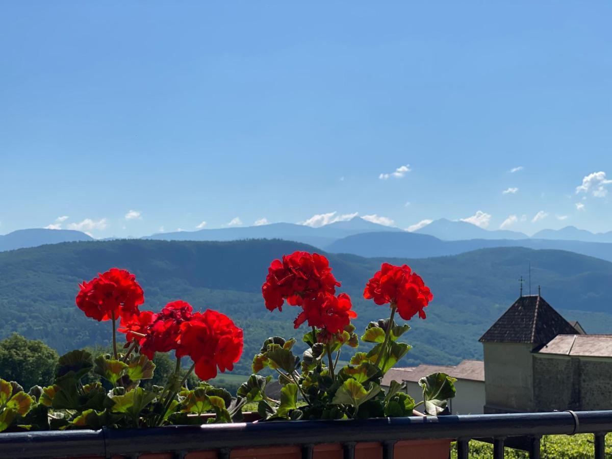 Gaestehaus Anna Caldaro Bagian luar foto